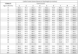 How To Calculate Target Slaughter Weights For Your Beef