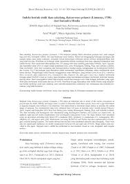 Menurut soesanto (1979), ikan tongkol merupakan salah satu jenis ikan pelagis artinya hidup di lapisan atas dari suatu perairan. Pdf Indeks Bentuk Otolit Ikan Cakalang Katsuwonus Pelamis Linnaeus 1758 Dari Samudra Hindia Otolith Shape Indices Of Skipjack Tuna Katsuwonus Pelamis Linnaeus 1758 From The Indian Ocean