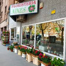 Floristería Nines