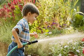 Its transplanter and trowel also offer plenty of options for the novice or expert gardener. Toxic Gardening Tools Are A Problem Seventh Generation