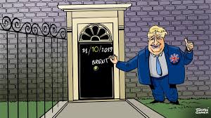 I've got more chance of being reincarnated as an olive Cartoon For July 24 2019 The National