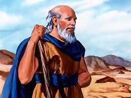 Image result for the prophet elisha is teased by children