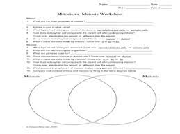 Comparing mitosis meiosis determine whether the following characteristics apply to mitosis meiosis or both by putting a check in the appropriate. Mitosis Vs Meiosis Worksheet 9th 12th Grade Worksheet Meiosis Mitosis Vs Meiosis Mitosis