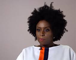 Chimamanda ngozi adichie talks feminism, #metoo movement. Why We Need To Develop Empathy Chimamanda Adichie Wise