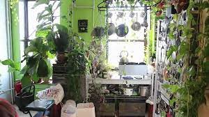 How do i build an indoor garden at home? How To Design A Successful Indoor Garden 13 Steps With Pictures