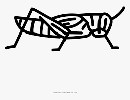 When it gets too hot to play outside, these summer printables of beaches, fish, flowers, and more will keep kids entertained. Grasshopper Coloring Page Line Art Hd Png Download Transparent Png Image Pngitem