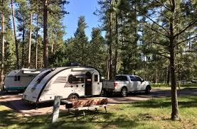 Check spelling or type a new query. Custer State Park In The Black Hills Of South Dakota