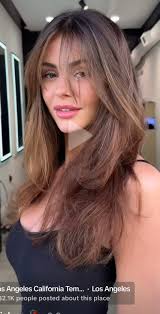 Hairstyles for Botched Face Frame