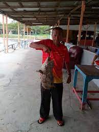 Apa yang pasti bagan lalang antara tempat menarik di selangor yang percuma. Kolam Air Masin99 Kuala Selangor Home Facebook