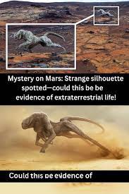 Why did NASA use the 'face on Mars' in pareidolia definition?