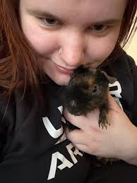 Recommendations for a vet for guinea pigs?🐽