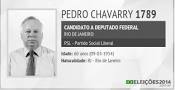 Resultado de imagem para pedro chavarry duarte bolsonaro