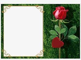 Aesthetic photo editor offers many art frames in various styles. Fotoeffekt S Kategorii Rose Frame Photo Editor Free Transparent Png Download Pngkey