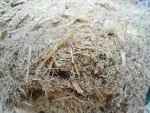 Bagasse - Wikipedia