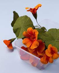 The Time I Tried To Pack Nasturtium Fritters In A Takeaway Plastic Container For Mundane Matters Pa Paper Flowers Paper Flowers Diy Paper Flower Bouquet