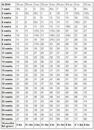 55 qualified chihuahua growth chart pictures