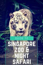 The Ultimate Guide To Singapore Zoo River Safari Night Safari Singapore Zoo Visit Singapore Singapore Travel