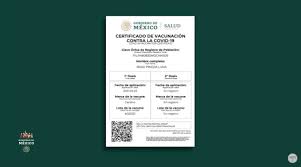 Maybe you would like to learn more about one of these? Tienes Problemas Para Sacar Tu Certificado De Vacunacion Covid Asi Puedes Solucionarlos El Financiero