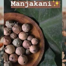 Manjakani juga berkhasiat untuk meningkatkan fungsi osteoblast dan metabolisme tulang karena memiliki banyak kandungan kalsium dan seng yang dibutuhkan untuk nutrisi tulang 12,13. 50 Gr Manjakani Biji Manjakani Majakanza Manjakani Original Obat Keputihan Kista Shopee Indonesia