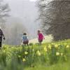 National trust sites are due to begin a phased reopening, but when will sites reopen and how can you book to visit these stunning sites? 1