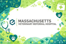 Mass Vet Spring CE Series - Surgery - Approaches to Skin Closures