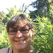 Oregon football team loses in a bowl game