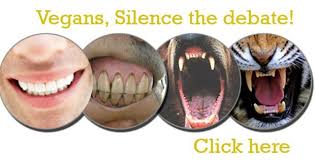 Were We 39 Meant 39 To Eat Meat Carnivore Teeth Human Teeth Vegan Animals