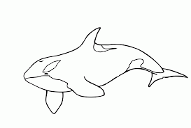 Here's a set of free printable alphabet letter images for you to download and print. Orca Whale Coloring Page Coloring Home