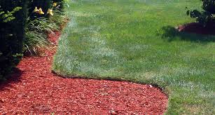 The edging only sinks 1.7 inches into the ground. You Don T Need Plastic Edging