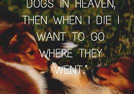 It was her role in someone to watch over me (. Will Rogers If Dogs Don T Go To Heaven Quote