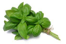 Check spelling or type a new query. What S So Healthy About Basil Precision Nutrition
