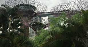 Learn more about hampton bay troubleshooting and replacement parts. Gardens By The Bay Compare Tickets And Tours From Different Websites To Find The Best Price
