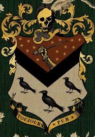 House Of Black Harry Potter Wiki Fandom Powered By Wikia Harry Potter Aesthetic Harry Potter Dolls Hogwarts Aesthetic