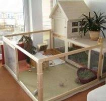 Buat tebok dan kandang burung kecil mudah modal 19k menggunakan barang bekas. Panduan Cara Membuat Kandang Kelinci Lengkap Dengan Gambar Belajar Beternak