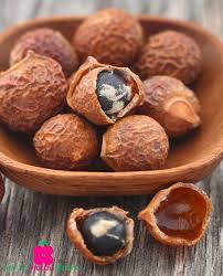 Image result for Sapindus