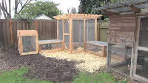 Sage is thought to help combat salmonella in chickens, so plant some sage in your chicken garden and offer the cuttings to them whenever the plants need to be cut back, to reduce the risk of salmonella in. The Garden Run Enclosure Plans Thegardencoop Com