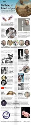 Mice Flies Cats Dogs And Monkeys The History Of Animals In Space Infographic Space Animals Space Exploration Space Science