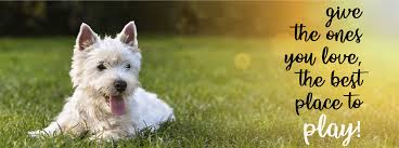 Lawn care, pest control, irrigation installation, irrigation maintenance, mosquito, flea and tick control, and perimeter insect control. Spring Touch Lawn Pest Control Mankato Mn 1st Application Free