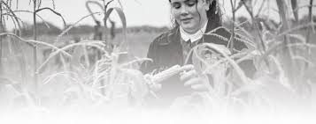 2025 FFA by The Globe