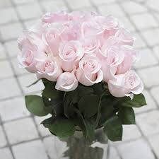 Wholesale bulk fresh flowers at low price. Green Choice Fresh Flowers Bulk 24 Light Pink Roses Fresh Cut Flowers For Delivery Prime Fresh Bulk Flowers Birthday Flowers 2 Dozen 20 Inch Long Stem Flower Cut Direct From Farm Pricepulse