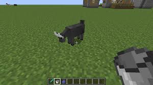 Goat Goats Soccer Field Pics