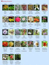 Korean Birthflower Birth Flowers Flower Meanings Flowers