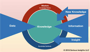 What Is The Difference Between Data Information Knowledge And Wisdom Serious Insights Knowledge And Wisdom Knowledge Reading Data