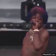 Um sir are you unaware. Lil Uzi Vert Do What I Want Meme On Make A Gif
