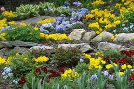 How To Plan A Rock Garden Landscaping With Rocks Rock Garden Design Rock Garden Landscaping
