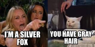 Meme Creator Funny I M A Silver Fox You Have Gray Hair Meme Generator At Memecreator Org