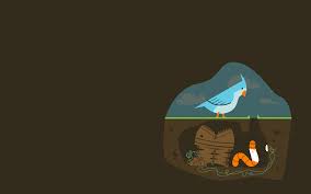 See high quality wallpapers follow the tag #wallpaper free fire trap. Birds Trap Artwork Worms Wallpaper 1440x900 60551 Wallpaperup