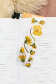 Open the book to its approximate center (no need to find the exact center), lay a piece of waxed paper over the pages—to protect the inside of your book—and lay the flower in the center of the page, close to the spine. How To Make Pressed Flower Bookmarks Learn This One Easy Trick