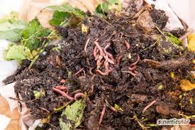 Kompostieren Ohne Garten So Baust Du Eine Wurmkiste In 2020 Wurmkiste Wurmkompost Kompostieren