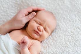 Homestory Fotografie von Sandra Mette Fotografie in Braunschweig